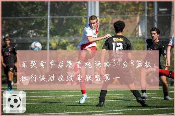 东契奇季后赛首轮场均34分8篮板，独行侠进攻效率联盟第一