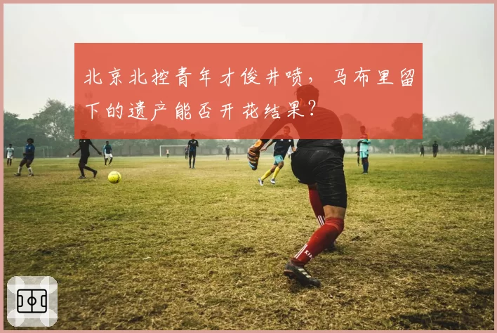 北京北控青年才俊井喷，马布里留下的遗产能否开花结果？