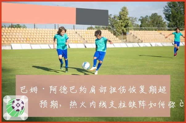 巴姆·阿德巴约肩部扭伤恢复期超出预期,热火内线支柱缺阵如何弥补?