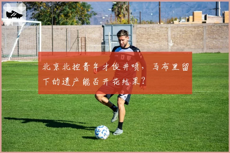 北京北控青年才俊井喷，马布里留下的遗产能否开花结果？